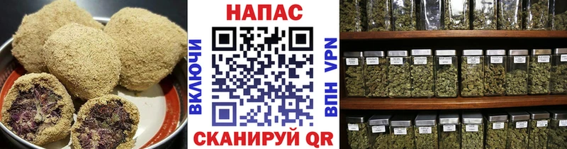 Canna-Cookies марихуана  MEGA ссылка  Дальнереченск 