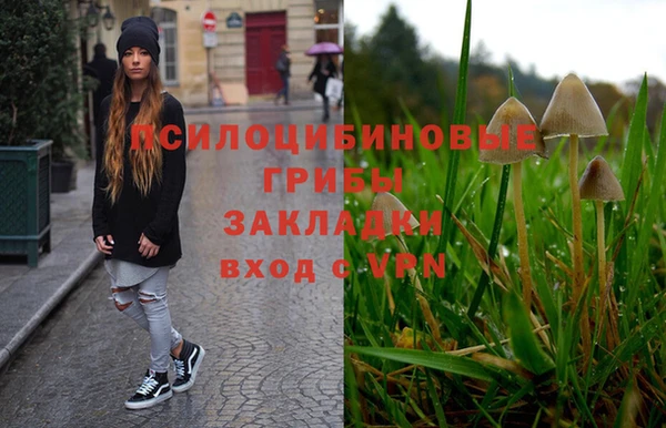 синтетический гашиш Гусь-Хрустальный
