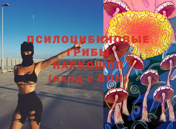 прущие крисы Михайловск