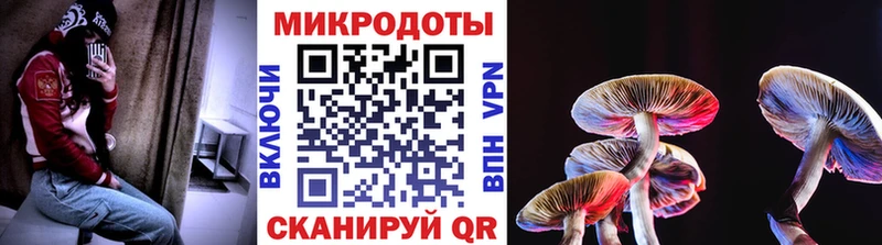 ОМГ ОМГ зеркало  Дальнереченск  Галлюциногенные грибы GOLDEN TEACHER 