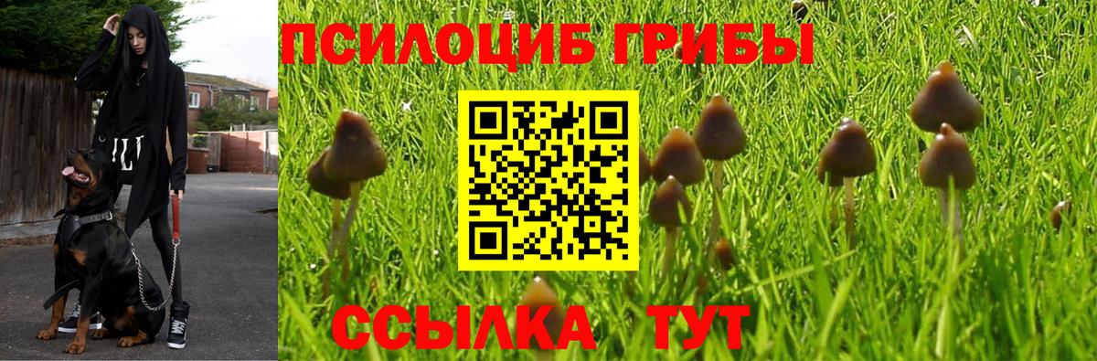 Псилоцибиновые грибы MAGIC MUSHROOMS Дальнереченск