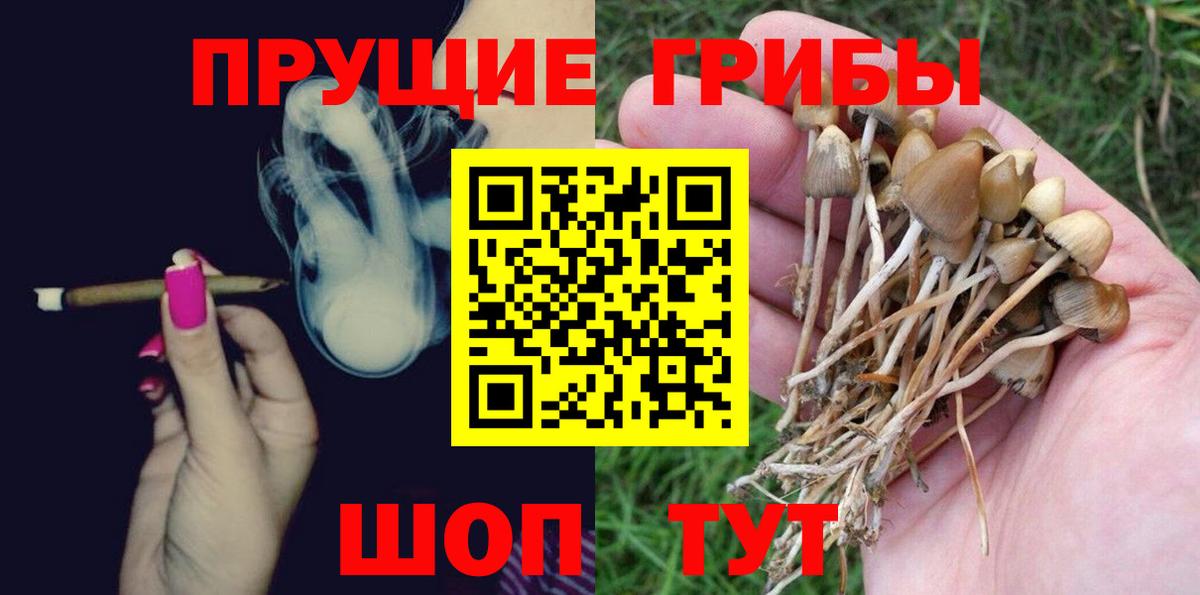 наркошоп  Галлюциногенные грибы ЛСД  Вход с VPN  Дальнереченск 
